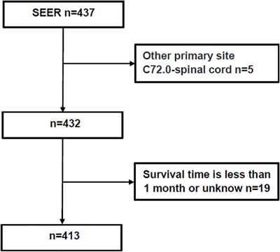 Clinical prognostic factors for central neurocytoma and subgroup analysis of different treatment measures: A SEER database-based retrospective analysis from 2003 to 2019